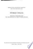 Hybrid Spaces