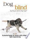 My dog is blind – but lives life to the full!