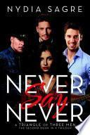 Never Say Never: A Triangle of Three Men The second book in a Trilogy