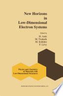 New Horizons in Low-Dimensional Electron Systems