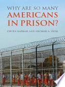 Why Are So Many Americans in Prison?
